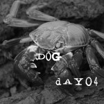 Bonus - Crabbing For Beginners, on the Dog Days Of Podcasting Day 4